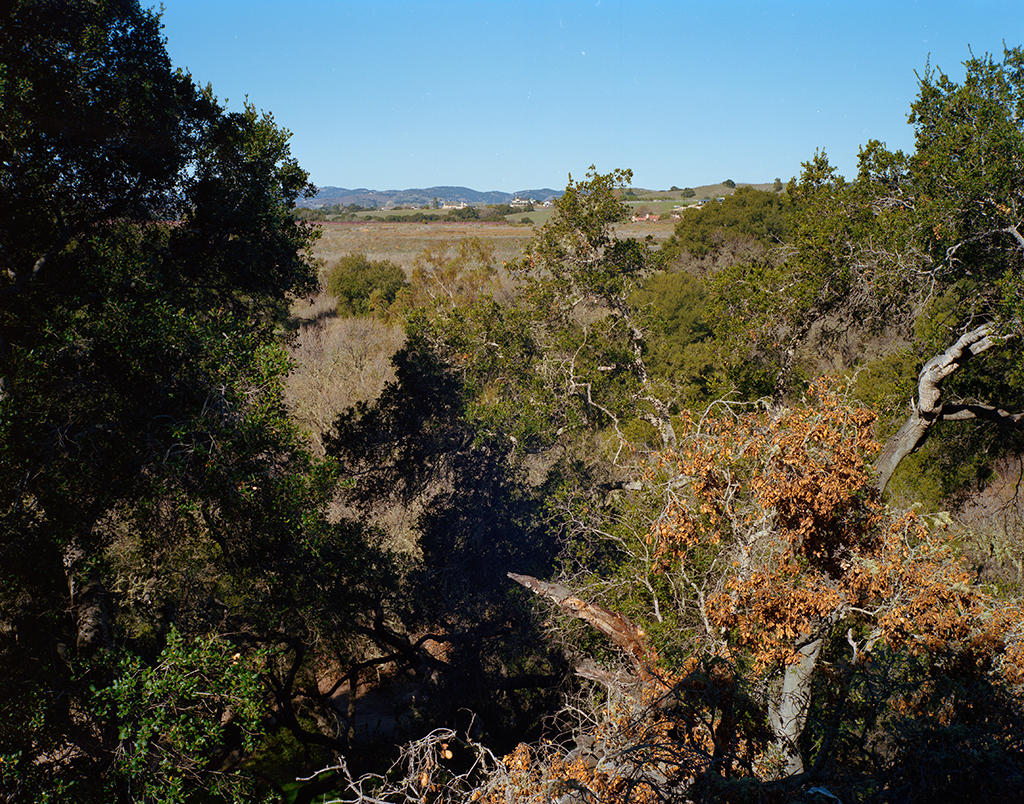 fractals_and_houses_001_small