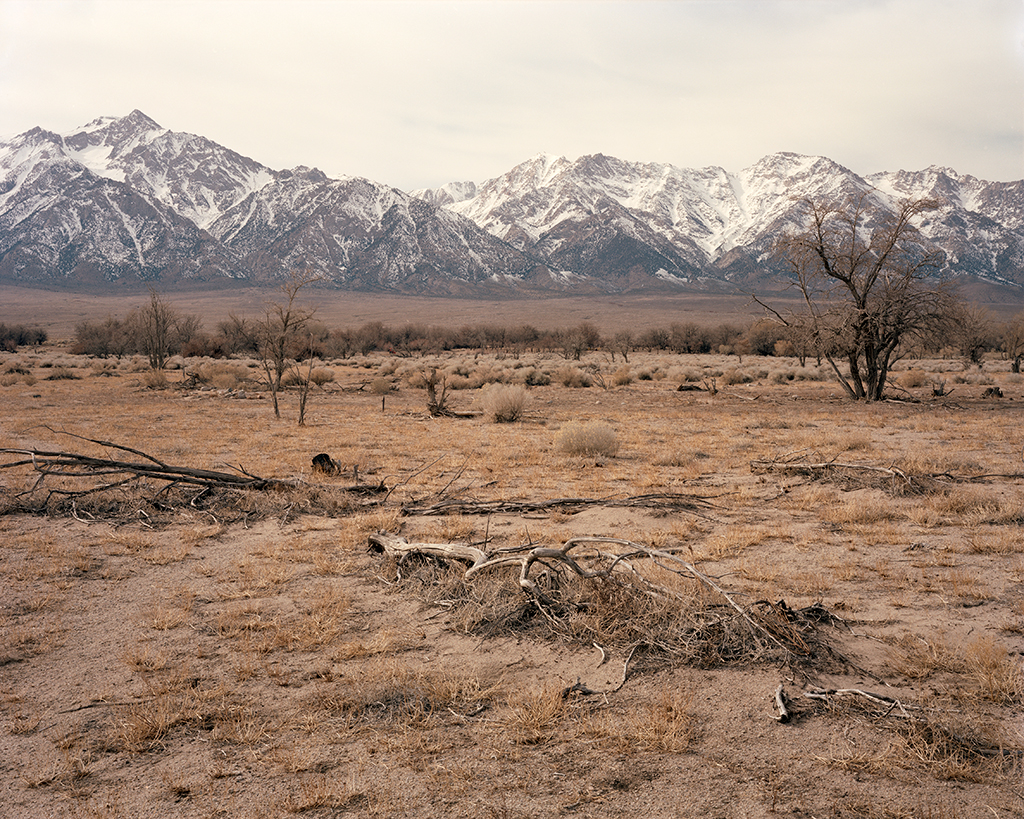 manzanar_small_2_dust