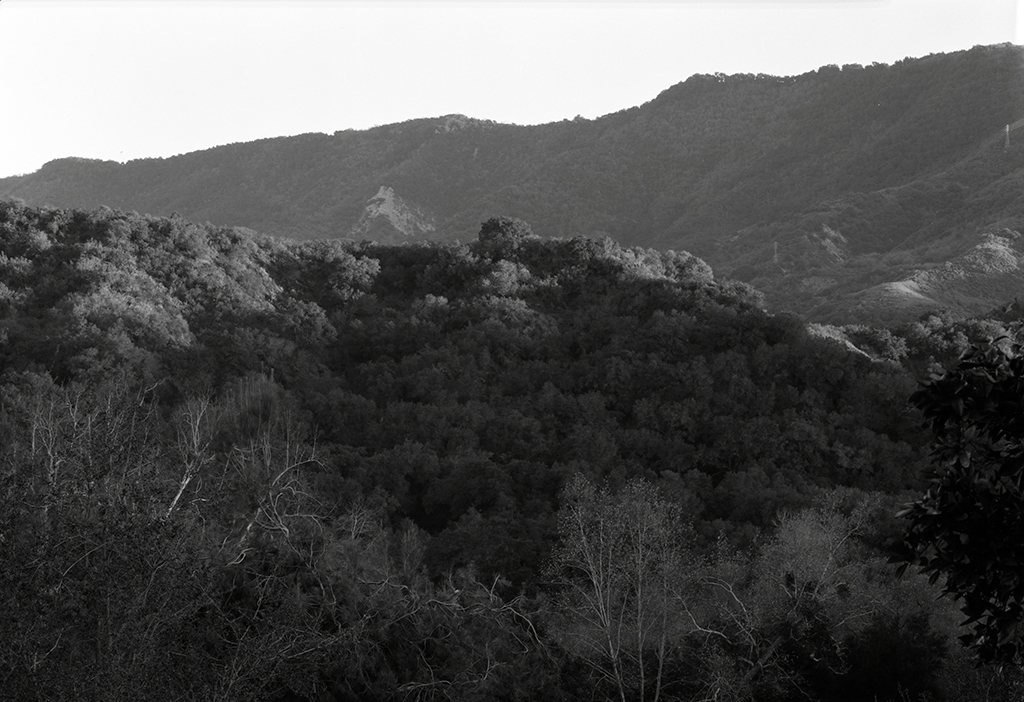 ojai_wetscan_122