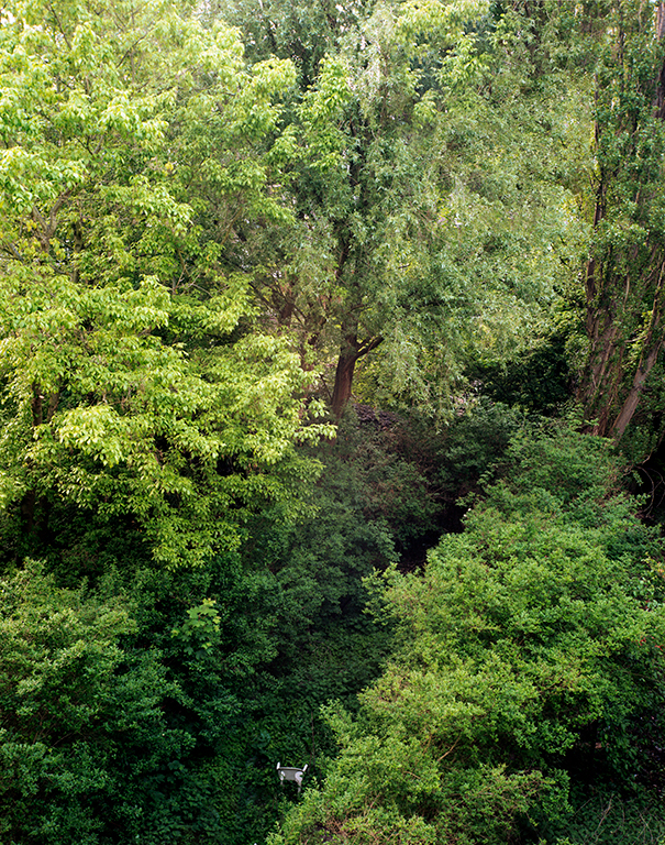 spring_summer_2012_work_009_wrk_1