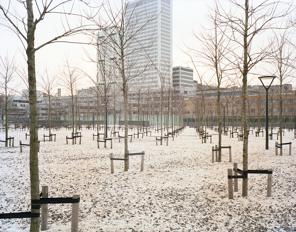 winterspringwetscan_2012003